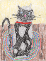 Children's-Cat