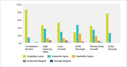 Survey Results_Needs and Burdens
